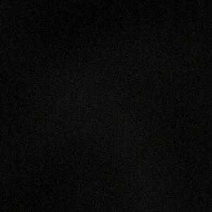 Meet your Posher, Bambi